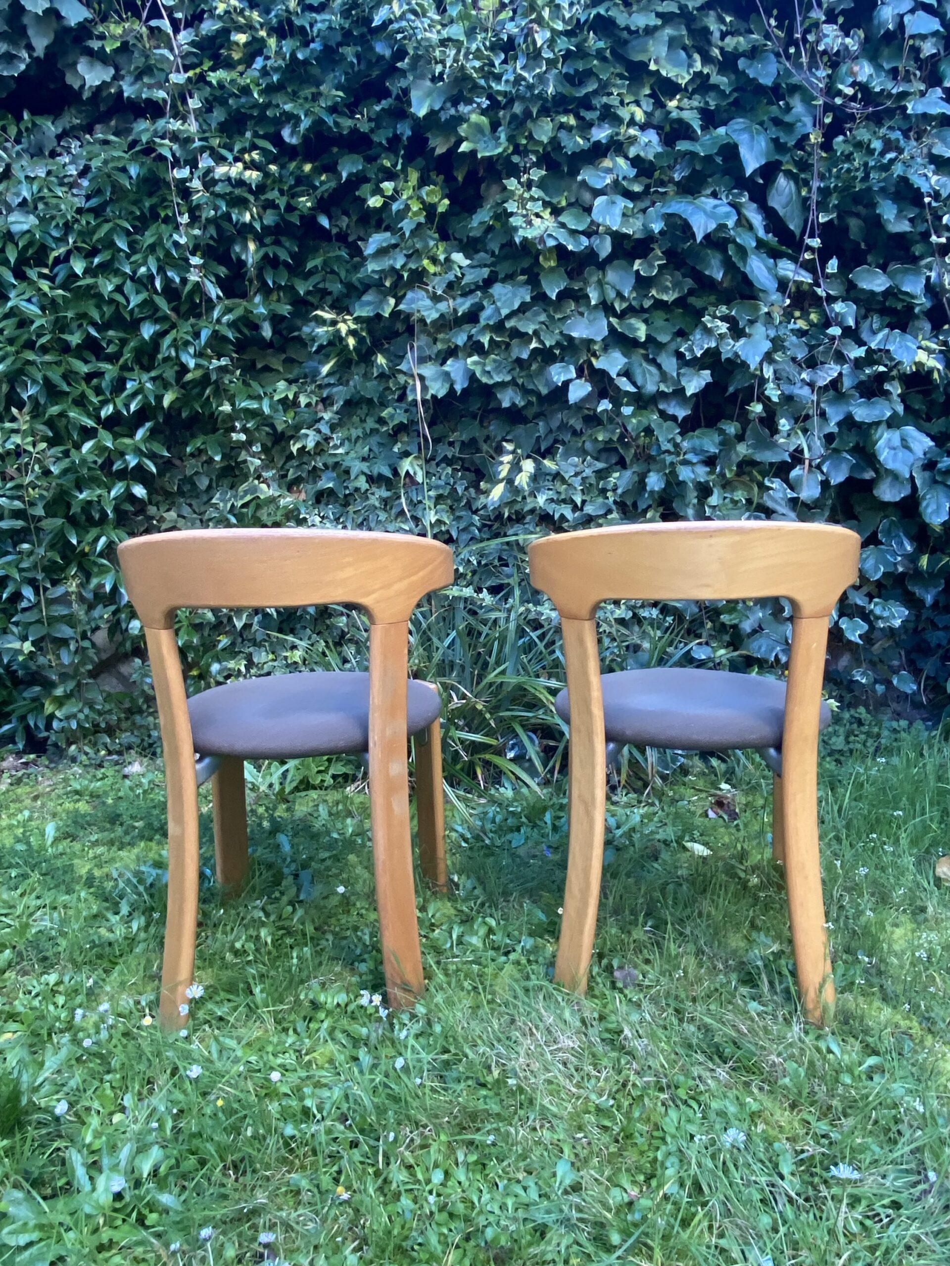 Chaises Bruno Rey – Image 3