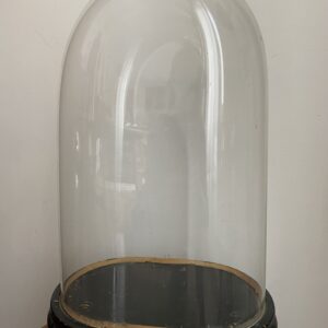 Globe de mariée Napoleon 3